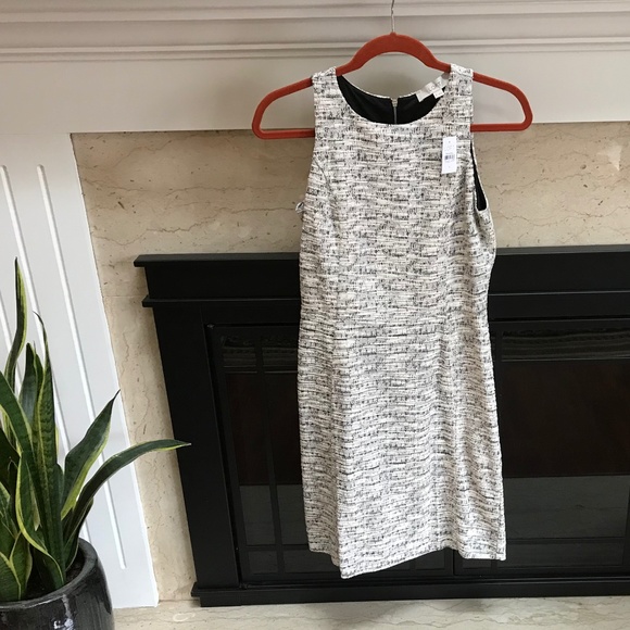 NWT ANN TAYLOR LOFT SHEATH DRESS IN TURNIP CREAM 0 - Picture 5 of 6